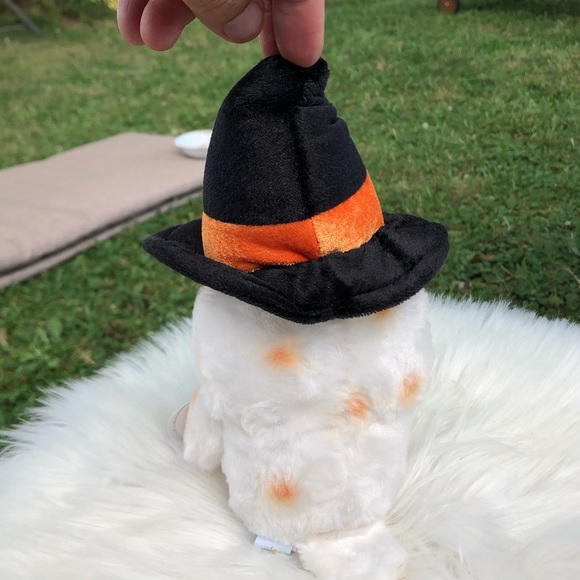 Owl with witches hat - Picture 4 of 5